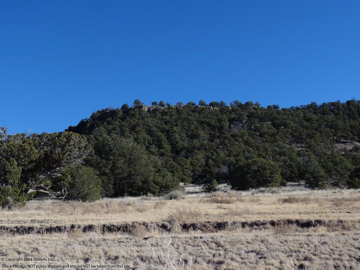 5 acres land for sale in Quemado, NM by Springerville & Show Low Arizona.
